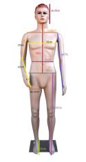 Manekin MĘSKI Pełnopostaciowy Wystawowy 185cm