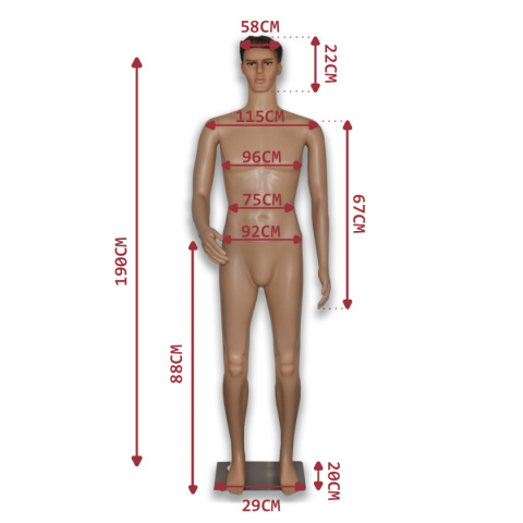 Manekin Wystawowy Pełnopostaciowy Męski 190CM Manekin Wystawowy Pełnopostaciowy Męski 190CM