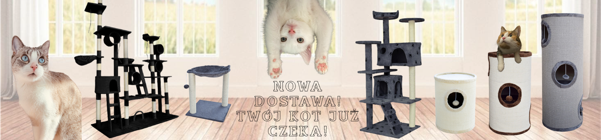 TLOOOO-KITKU